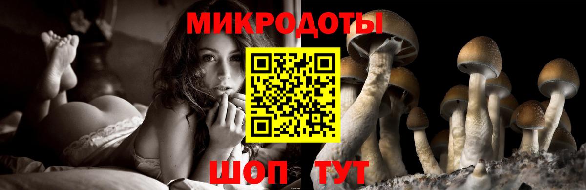 Канаш  Галлюциногенные грибы мицелий  Вход с VPN 
